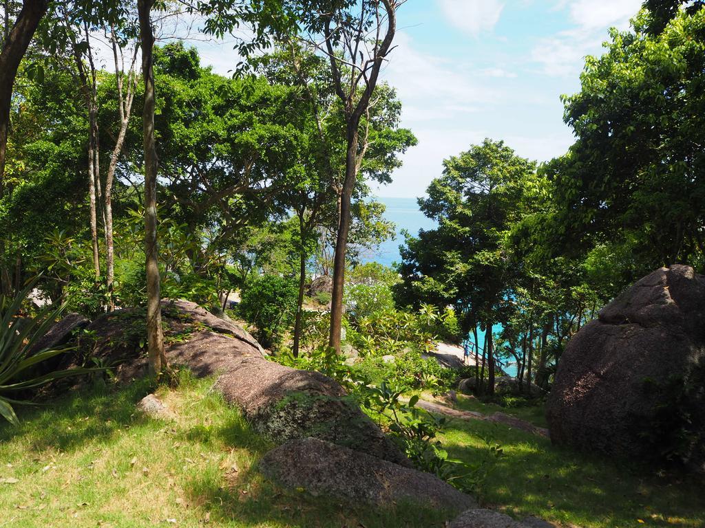 Ao Muong Beach Resort Ko Tao Bagian luar foto